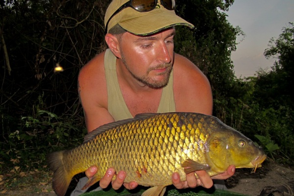 Boxley - Fish