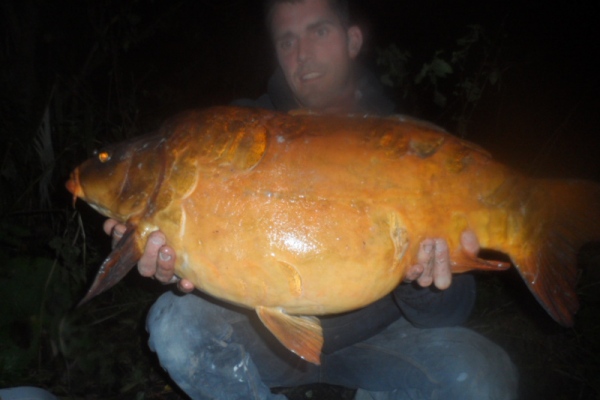 Mote Park - Fish