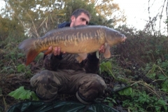 M.V.A.S. | Photos | Mote Park