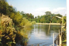 Mote Park - Scenic