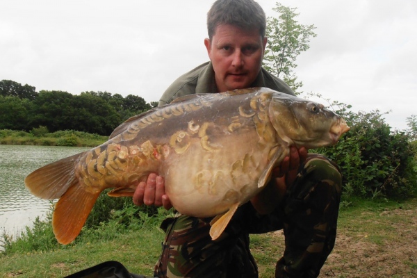 Wierton - Fish