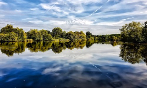 Mote Scenic